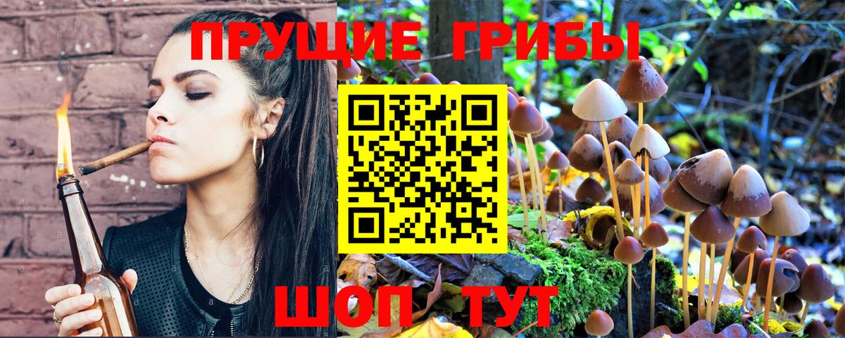 Галлюциногенные грибы Psilocybine cubensis  купить закладку  Ижевск 