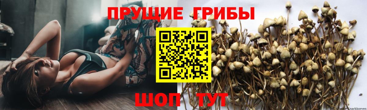 Галлюциногенные грибы ЛСД  Вход с VPN  Ижевск 
